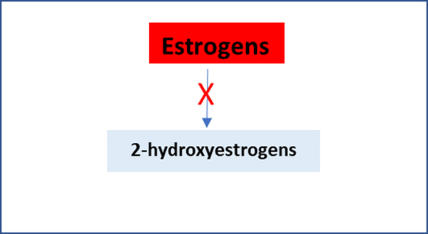 2 hydroxyestrogens chart