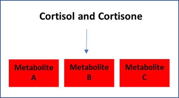 Cortisol and Cortisone chart