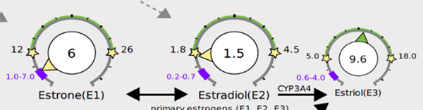 Estrone and Estradiol are low while Estriol is average